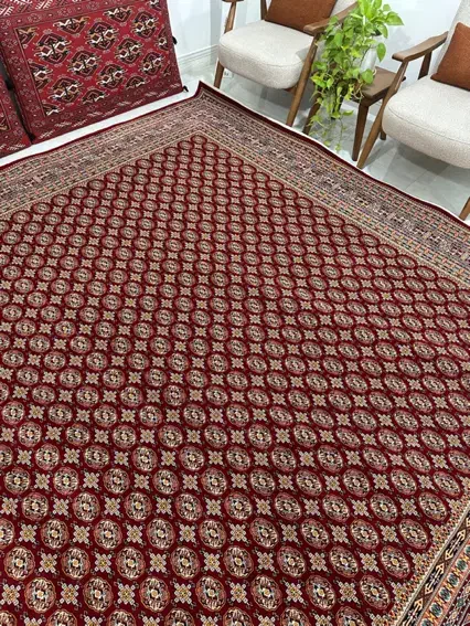 قالی ۱۲ متری هزار شانه|فرش|آق قلا, |دیوار