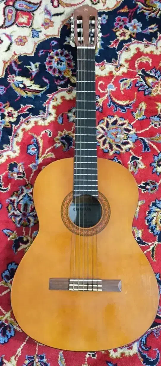 گیتار اصل|گیتار، بیس، امپلیفایر|زاهدان, |دیوار