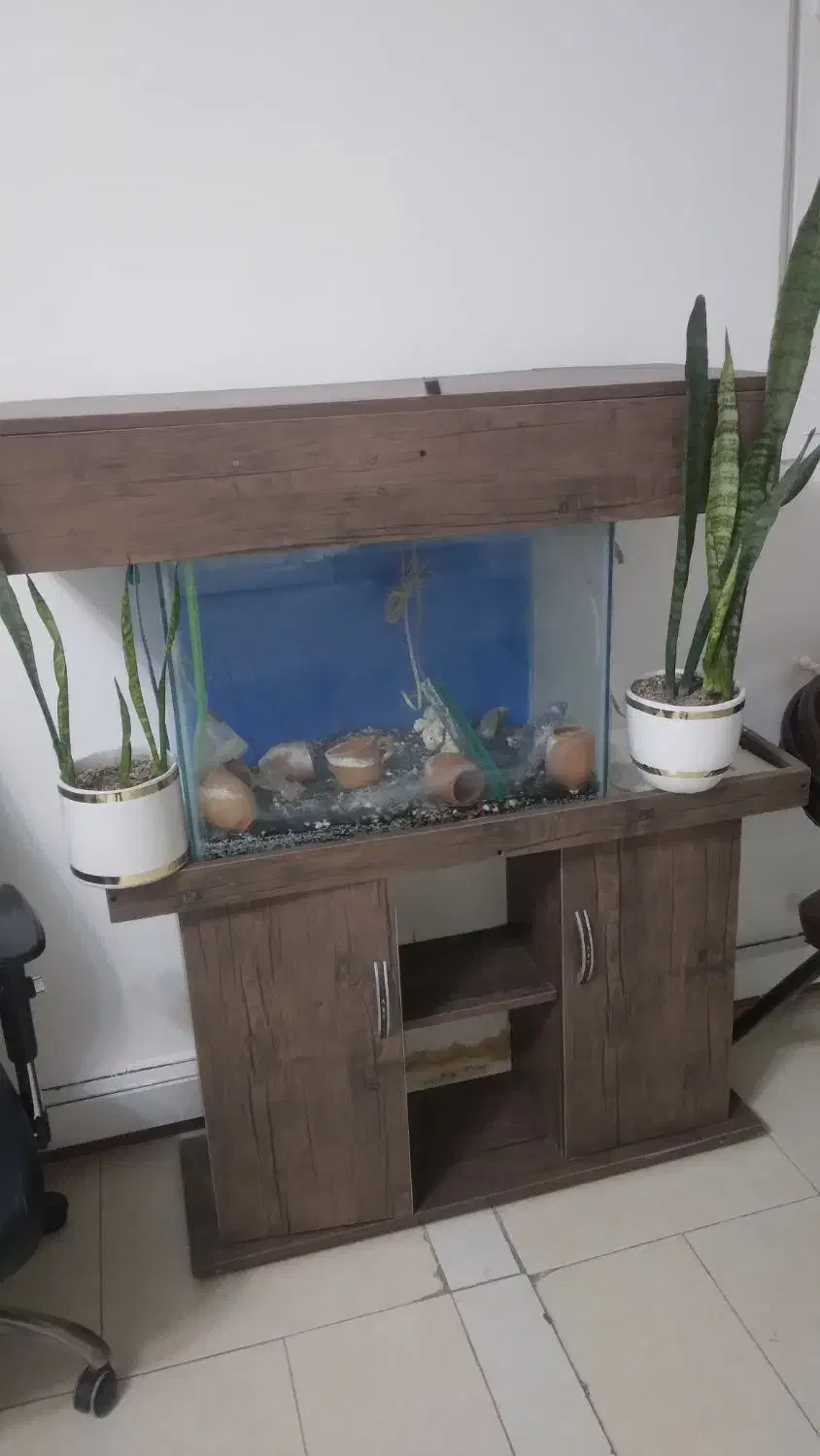 آکواریوم با پایه ام دی اف کاملا سالم|ماهی|ری, شهرری|دیوار