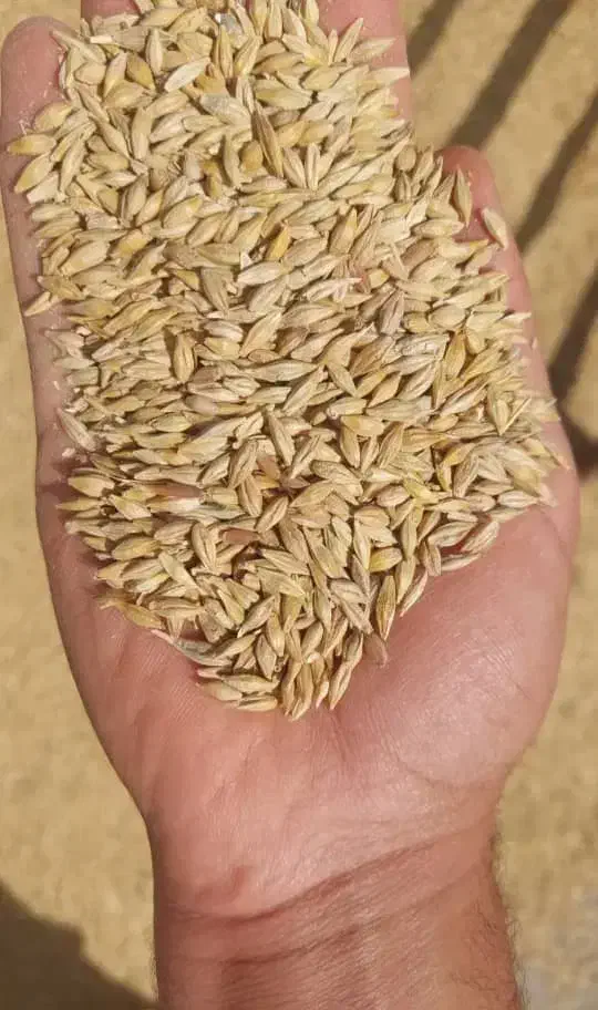 فروشخوراکداموطیور|عمدهفروشی|شهرکرد, |دیوار