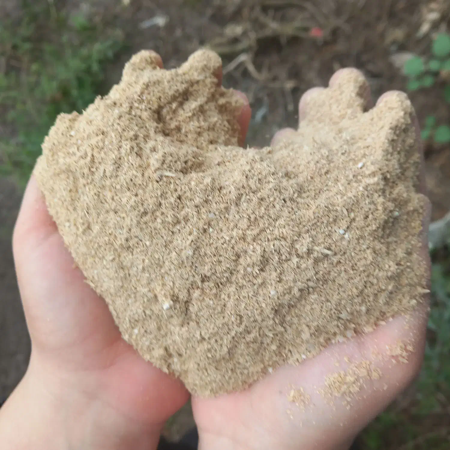 سبوس برنج ( کپک) دانه دار|خوردنی و آشامیدنی|رشت, یخسازی|دیوار