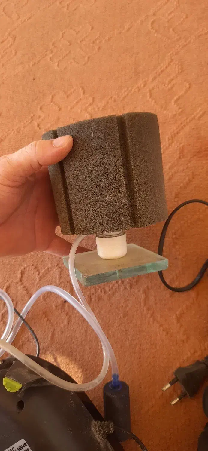 لوازم برقی آکواریوم|ماهی|گرگان, |دیوار