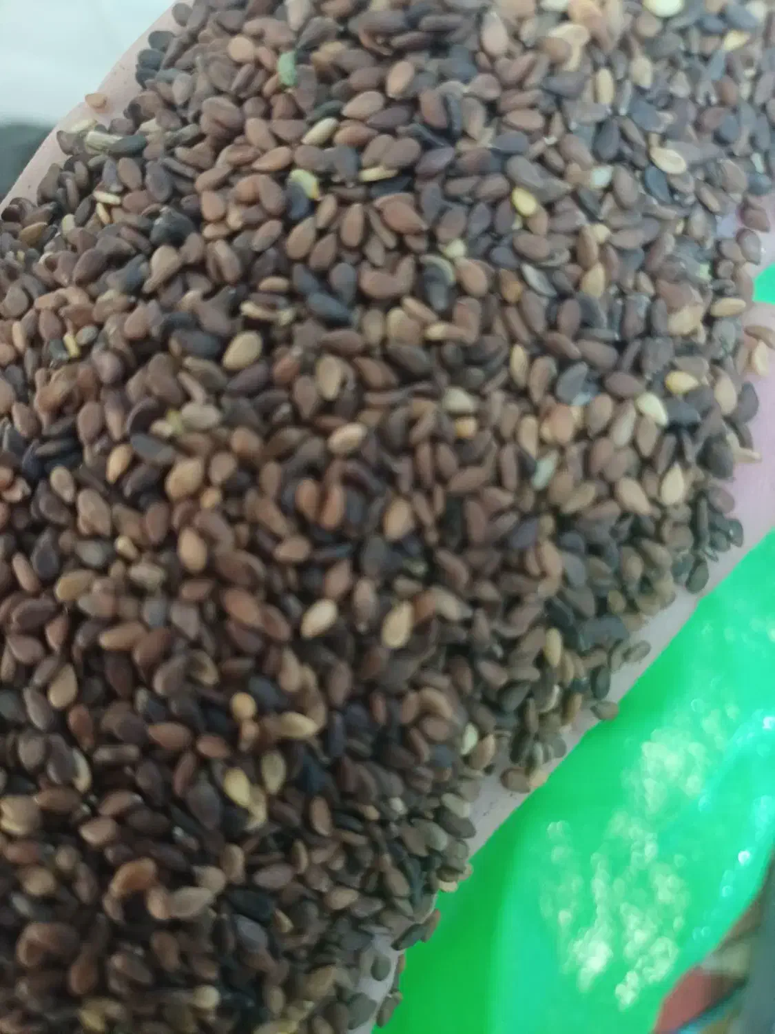 کنجد|خوردنی و آشامیدنی|پلدختر, |دیوار