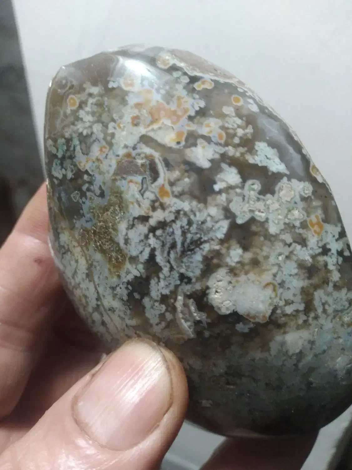 راف عقیق بهاری|کلکسیون اشیاء عتیقه|رامسر, |دیوار