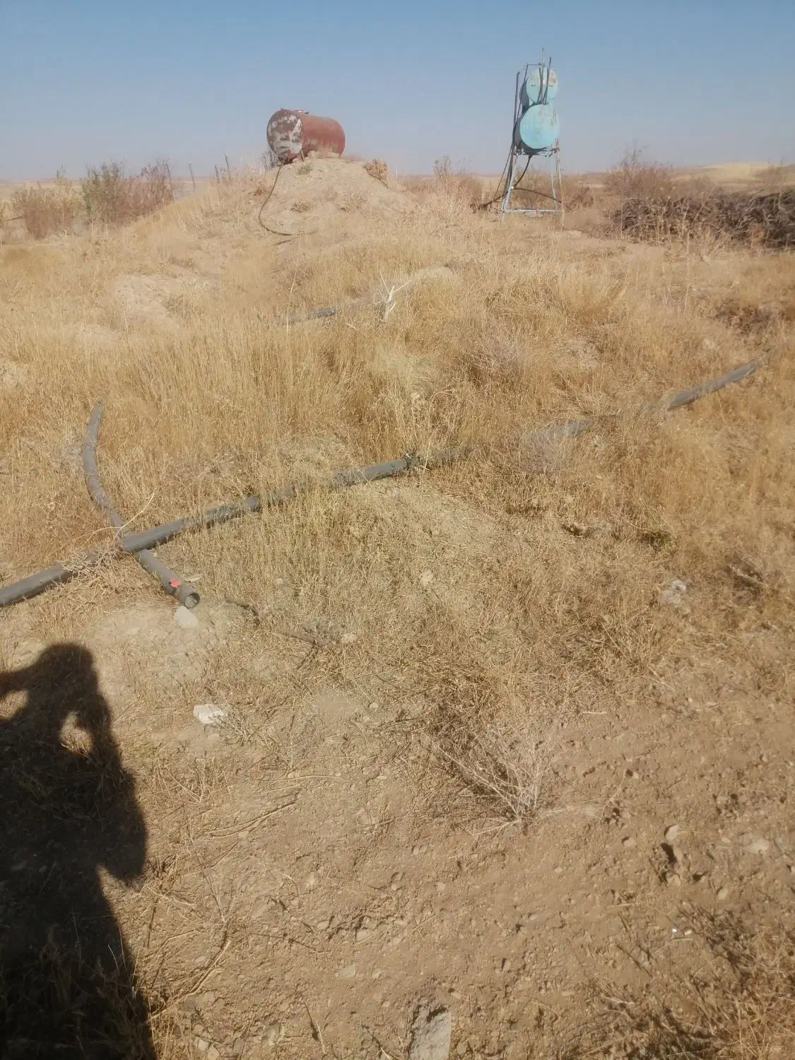 زمین خام کشاورزی پشت پارک جنگلی هوازو|فروش زمین و ملک کلنگی|سارال, |دیوار