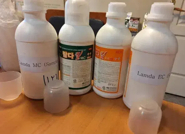 سم پاشی با تجربه|خدمات نظافت|بوشهر, |دیوار