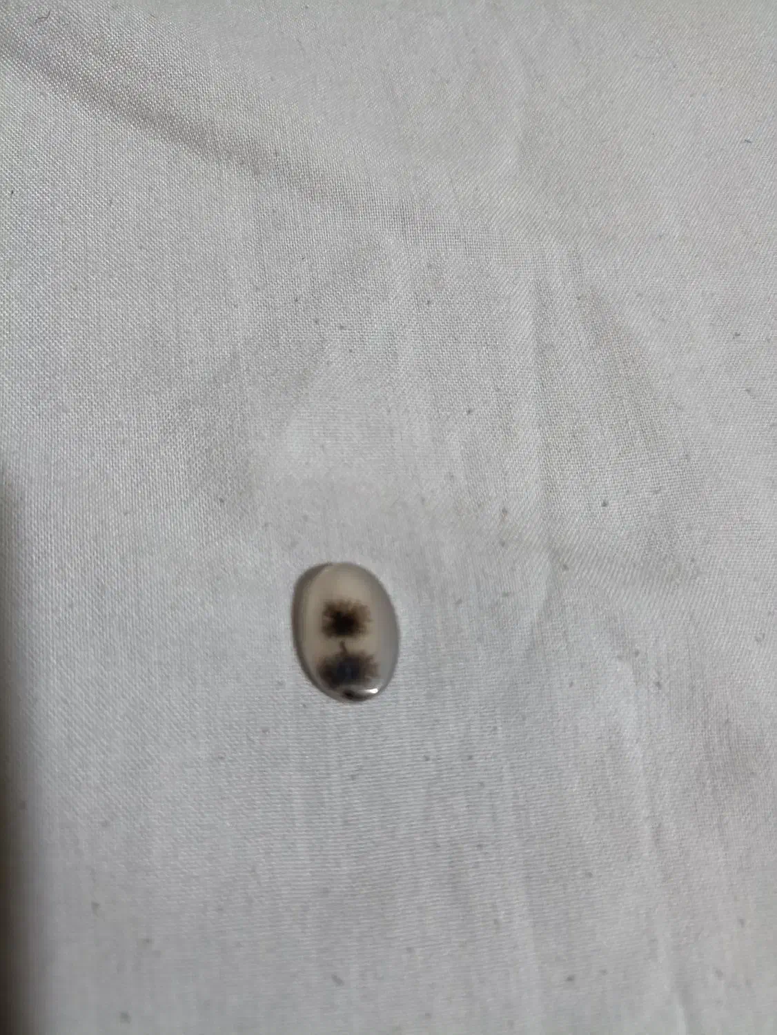 سنگ شجر|جواهرات|زنجان, |دیوار