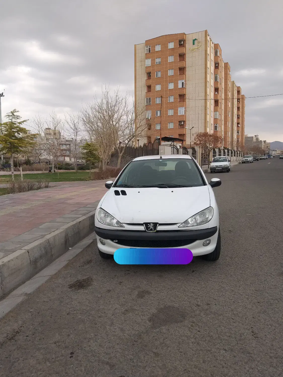 206 sd8|خودرو سواری و وانت|زنجان, |دیوار