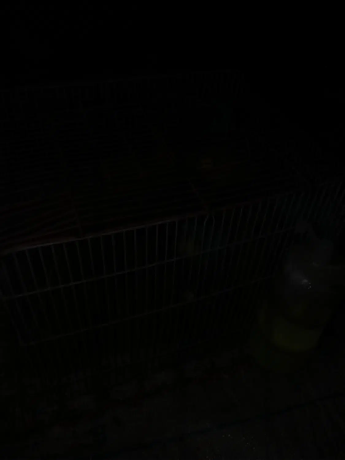 دوعدوچرخه ۲۰ و ۱۶|دوچرخه، اسکیت، اسکوتر|یاسوج, |دیوار