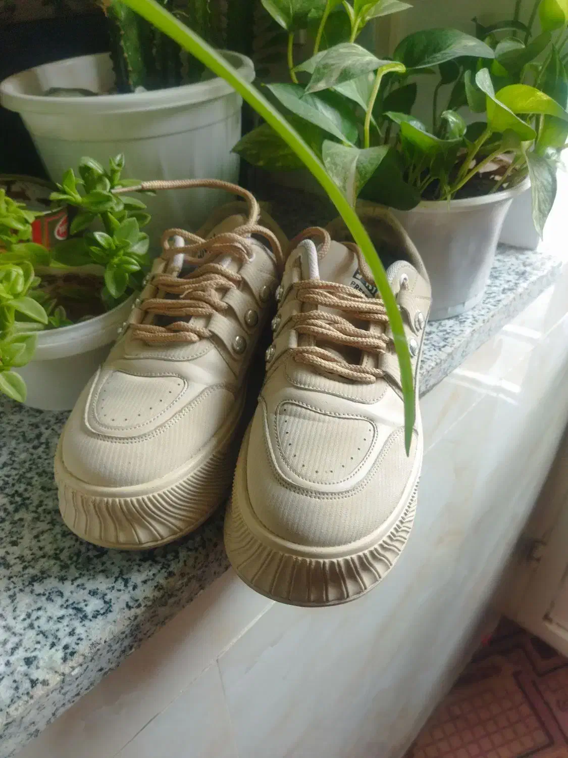 کفش|کیف، کفش، کمربند|لردگان, |دیوار