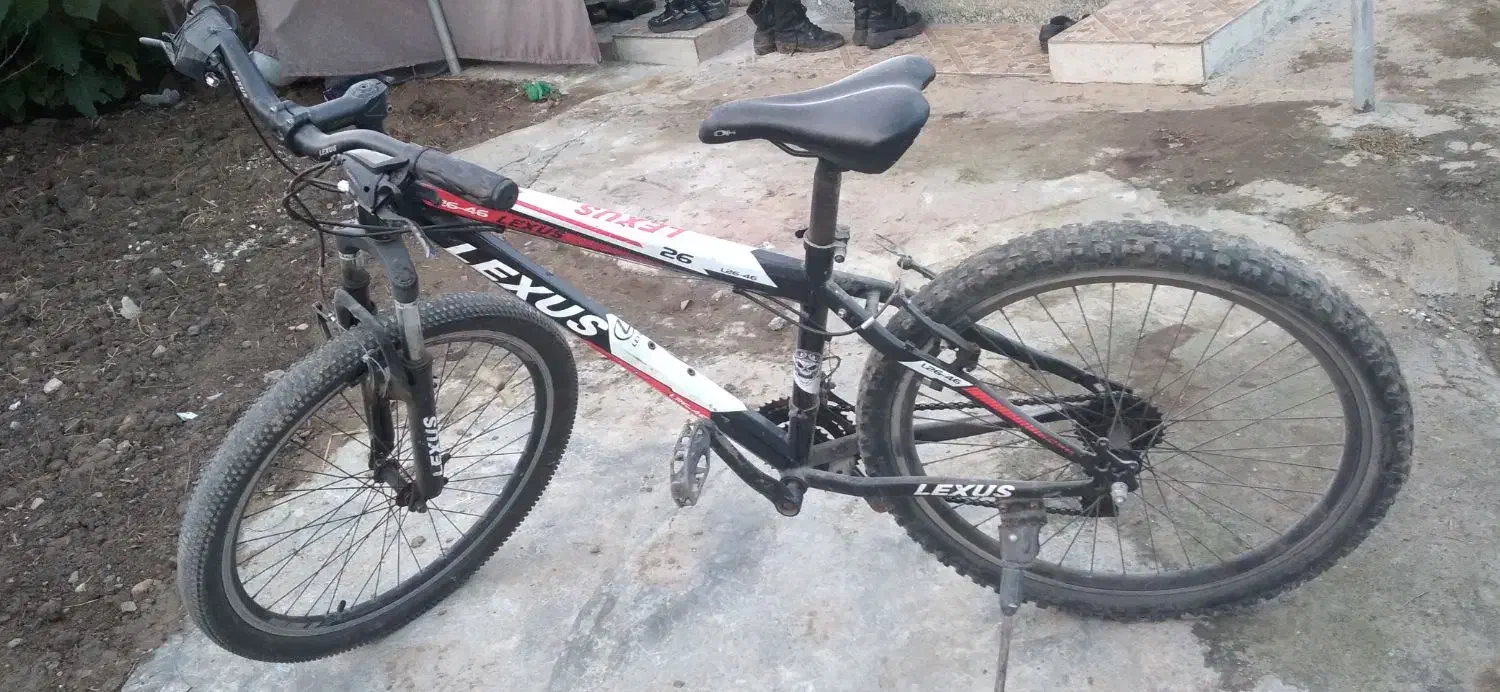 فونیکس ۲۶سایز بزرگ|دوچرخه، اسکیت، اسکوتر|اسالم, |دیوار