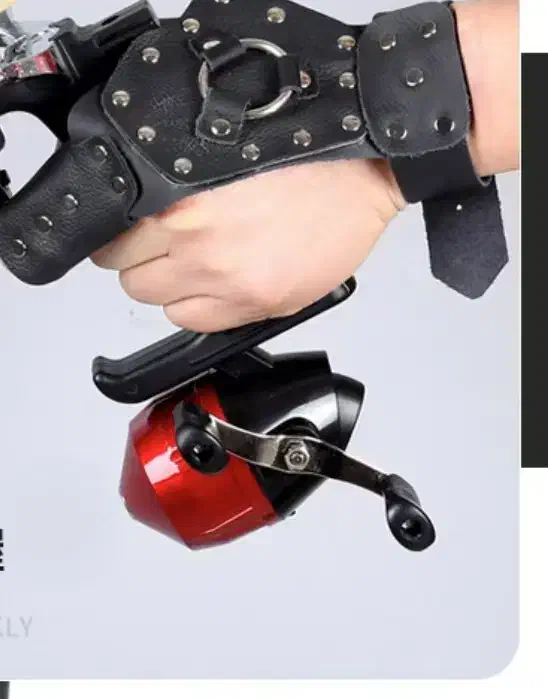 لنسر کماندار|ماهیگیری|ساری, |دیوار