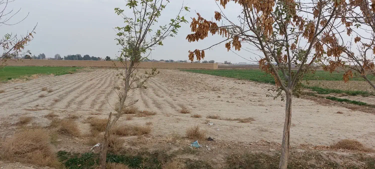 زمین ۳۲۰۰ متری با بر ۳۰ متر بر جاده  و برق سر زمین|فروش زمین و ملک کلنگی|جوادآباد, |دیوار