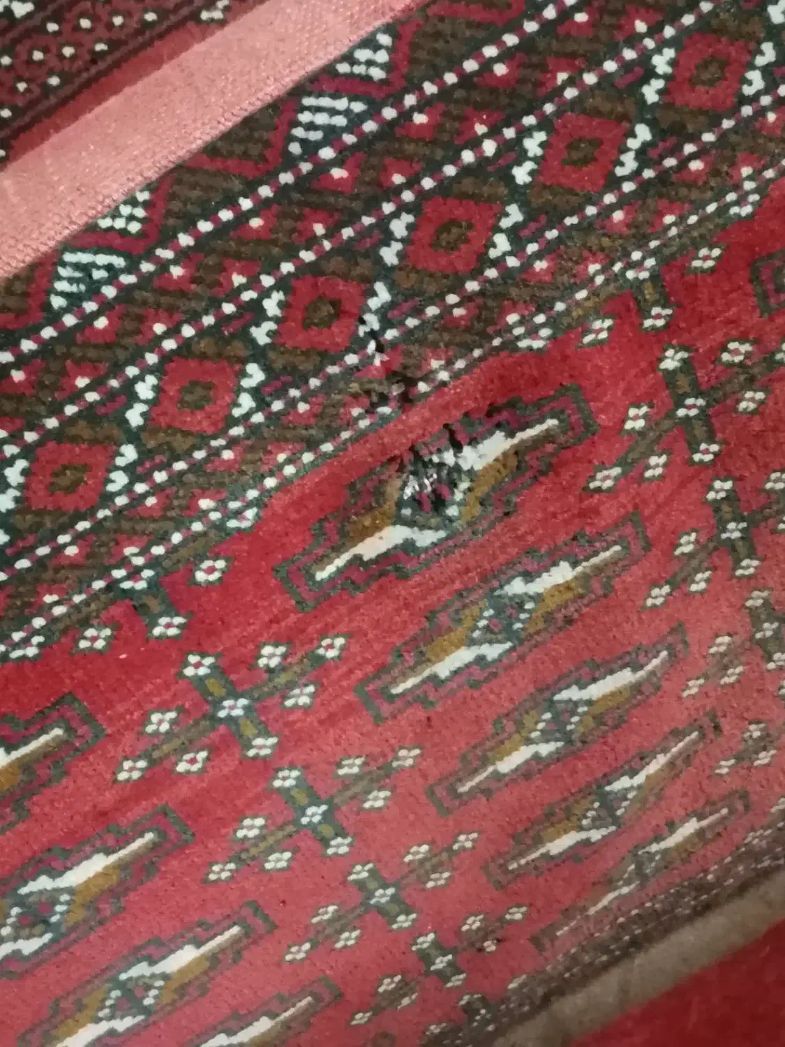 6عدد پشتی|پشتی|تهران, امین حضور|دیوار