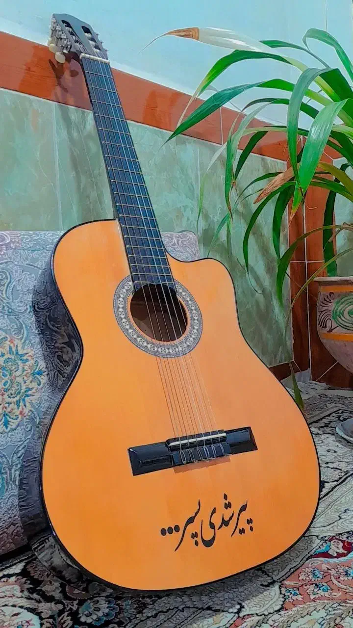گیتار با قیمت مناسب|گیتار، بیس، امپلیفایر|شادمهر, |دیوار