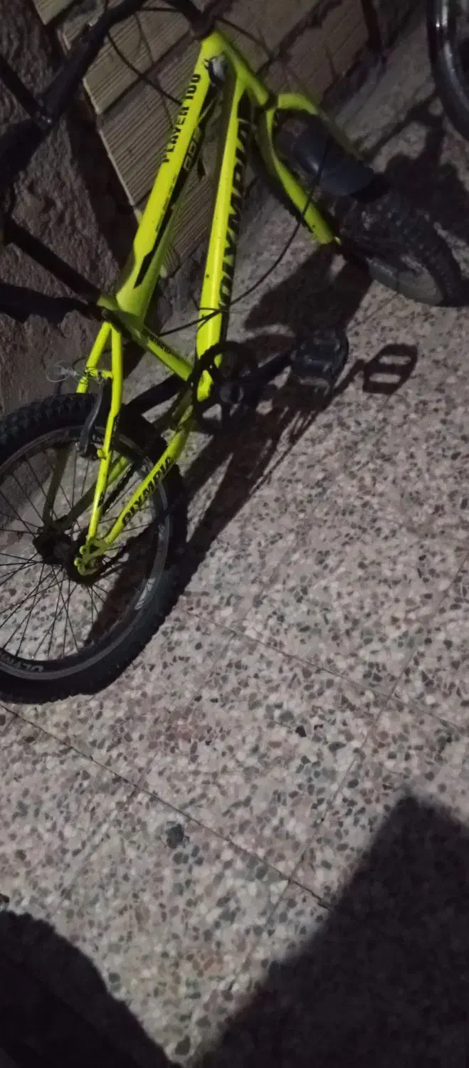 دوچرخه 20|دوچرخه، اسکیت، اسکوتر|جیرفت, |دیوار