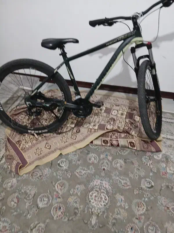 دوچرخه|دوچرخه، اسکیت، اسکوتر|ری, شهادت|دیوار