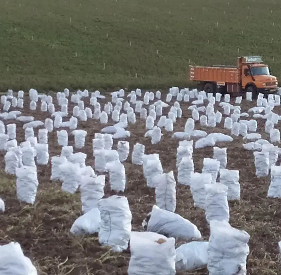 گونی اندازه ۵۰ و ۴۰ سانتی|عمدهفروشی|تهران, شهران شمالی|دیوار