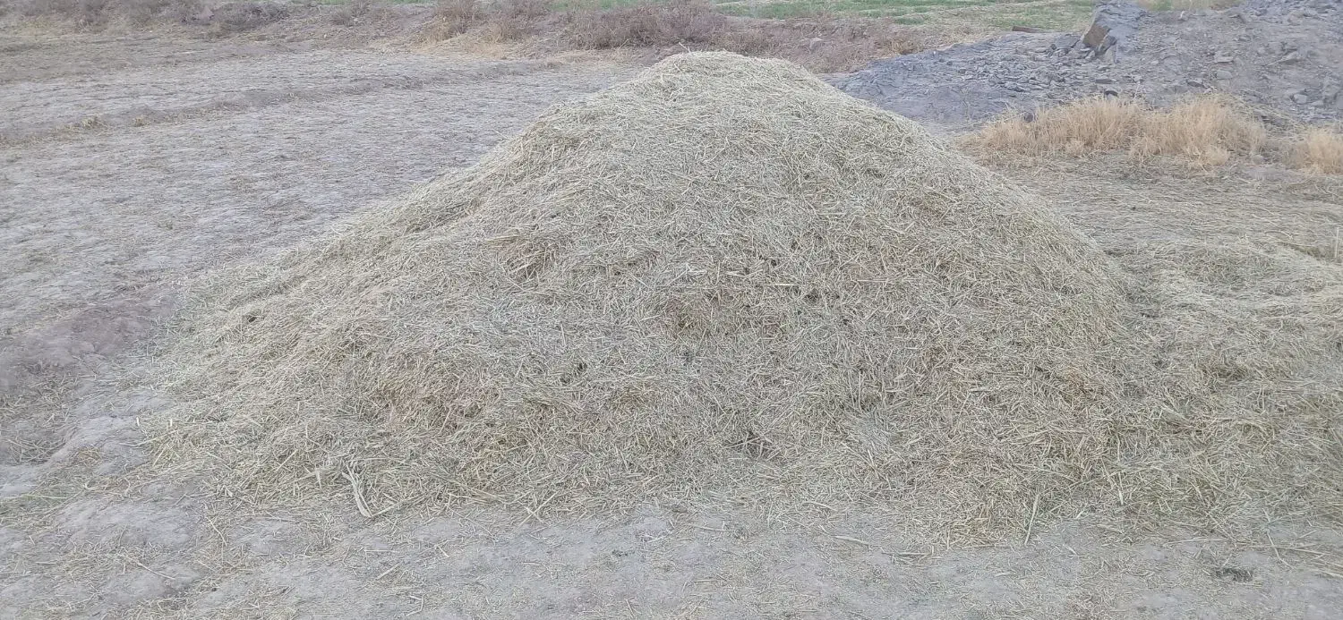 خرمن کاه|حیوانات مزرعه|مهریز, |دیوار