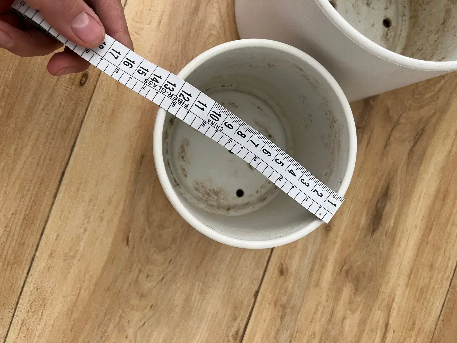 گلدان مهرنی|گل و گیاه طبیعی|بجنورد, |دیوار