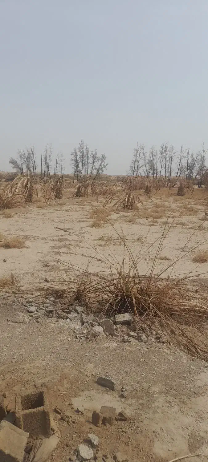 فروش چاه آب کشاورزی وزمین|اجارهٔ دفتر صنعتی، کشاورزی، تجاری|ایرانشهر, |دیوار