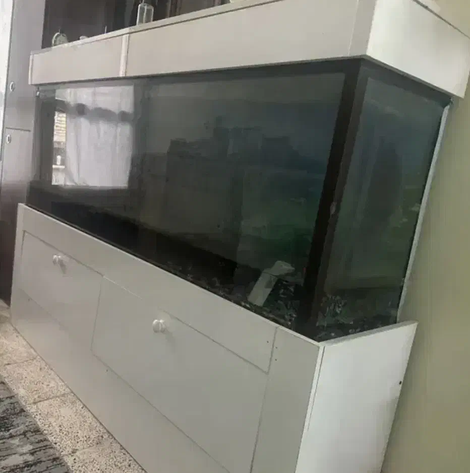 اکواریوم|ماهی|شاهرود, |دیوار