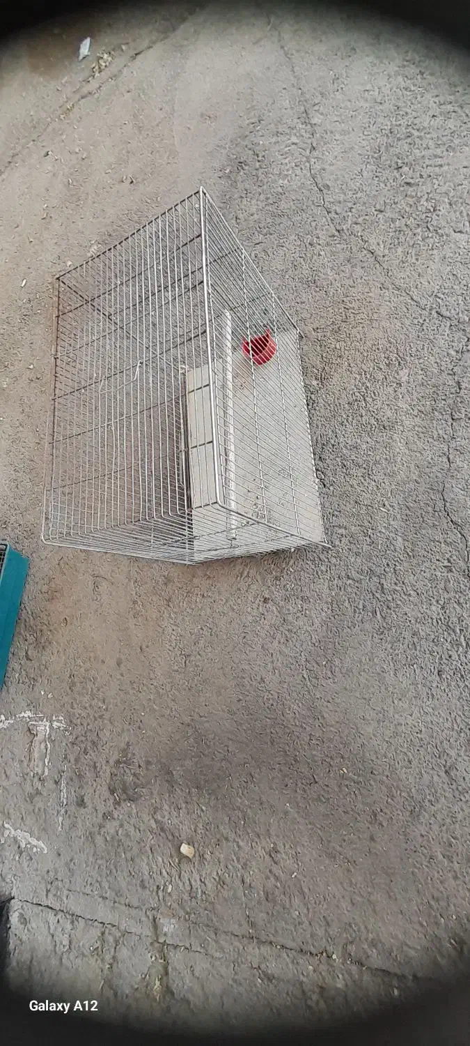 قفس پرنده|لوازم جانبی حیوانات|هشتگرد, شهرک پارسیان|دیوار