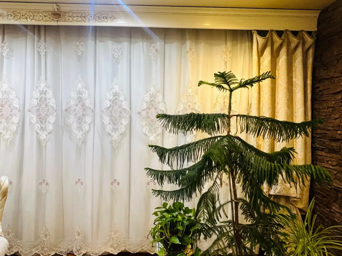 پرده|پرده، رانر، رومیزی|کرج, گوهردشت|دیوار