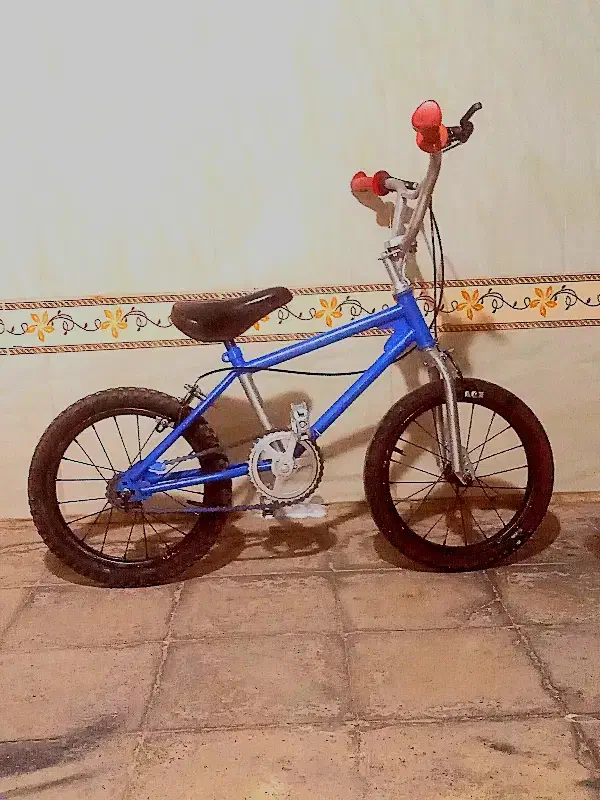 دوچرخه ۱۶|دوچرخه، اسکیت، اسکوتر|گلستان (تهران), |دیوار