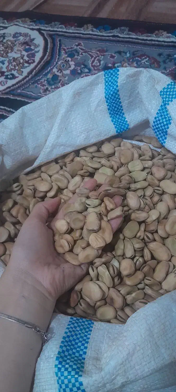 باقالا تمیز زودپز.بذرنداهفت بند|خوردنی و آشامیدنی|خان ببین, |دیوار