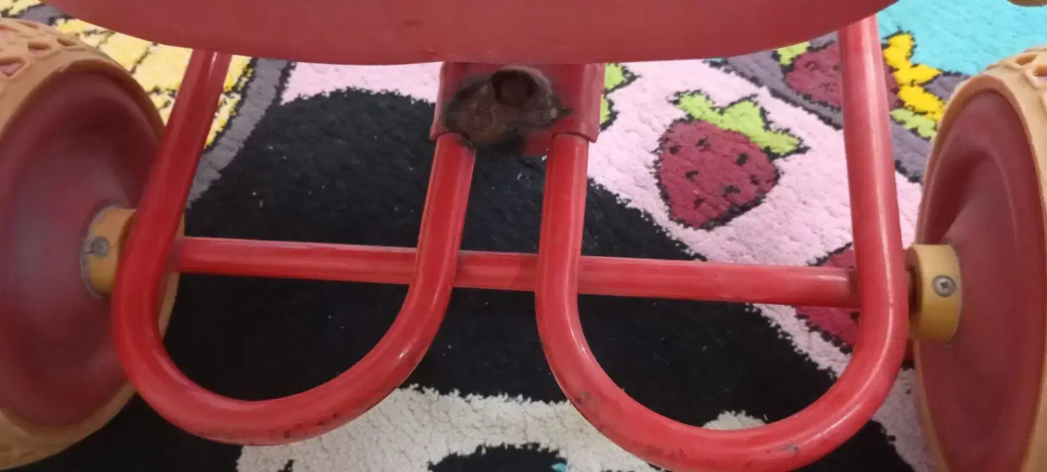 سه چرخه سالم|دوچرخه، اسکیت، اسکوتر|مشهد, رستگار|دیوار