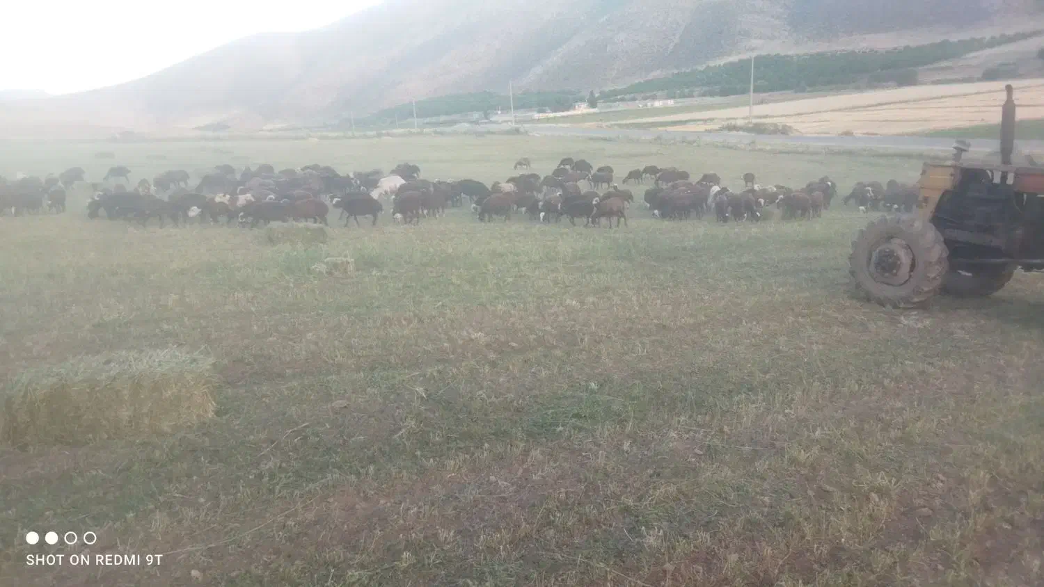 کارگر  دامداری|استخدام سرایداری و نظافت|شیروان (لرستان), |دیوار