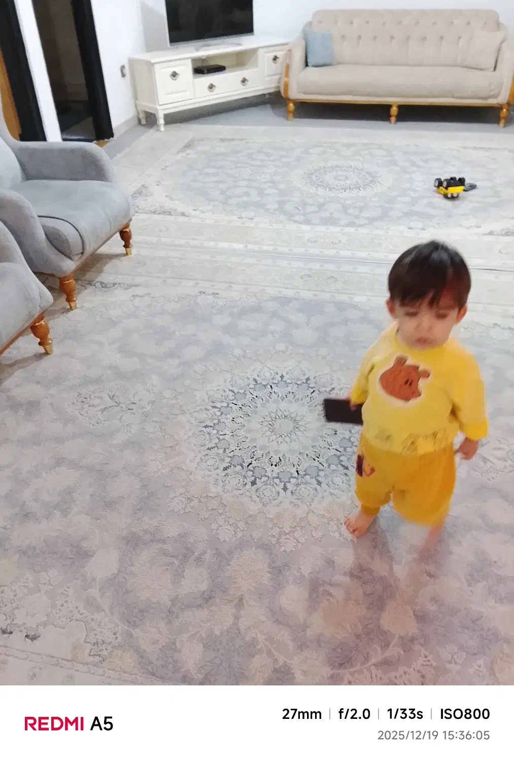 مبل راحتی وفرش برجسته|فرش|محمدشهر, محمدشهر|دیوار