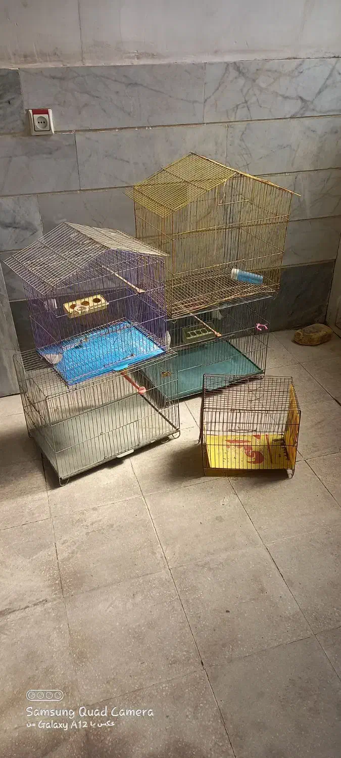 قفس بزرگ و کوچک|لوازم جانبی حیوانات|قزوین, |دیوار