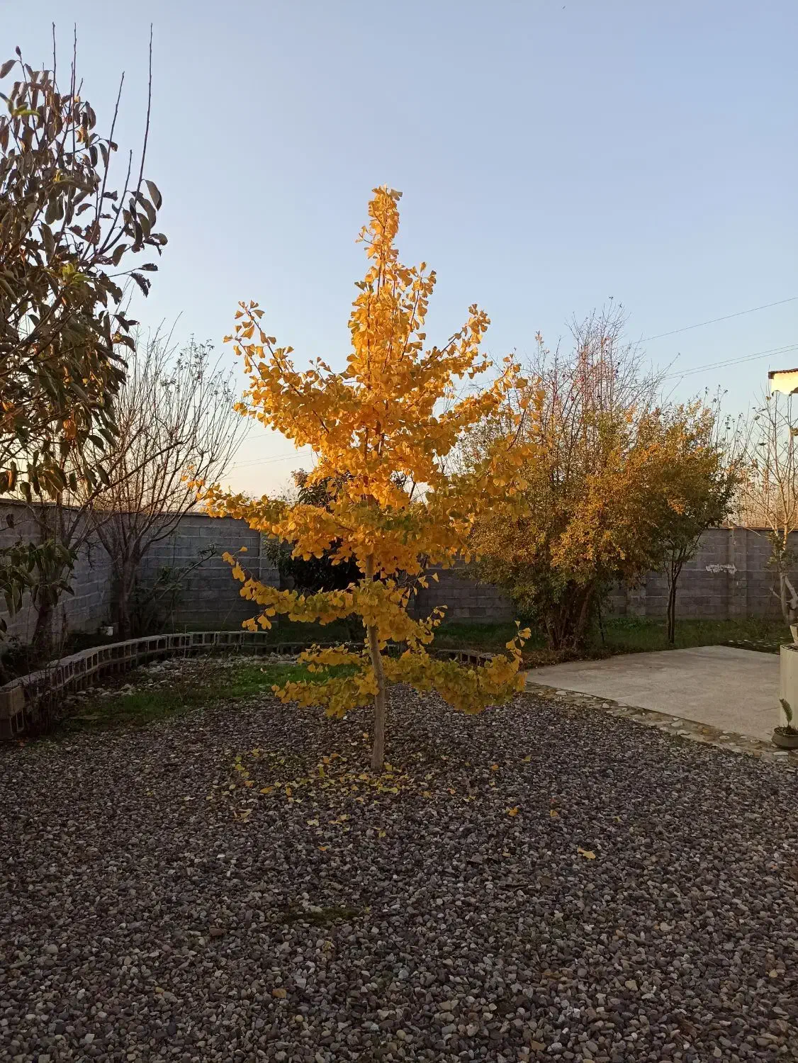 خانه ویلایی|فروش خانه و ویلا|تولم شهر, |دیوار