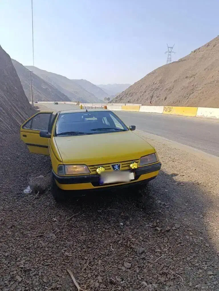 تاکسی گردشی ۴۰۵|خودرو سواری و وانت|فردیس, شهرک ناز|دیوار