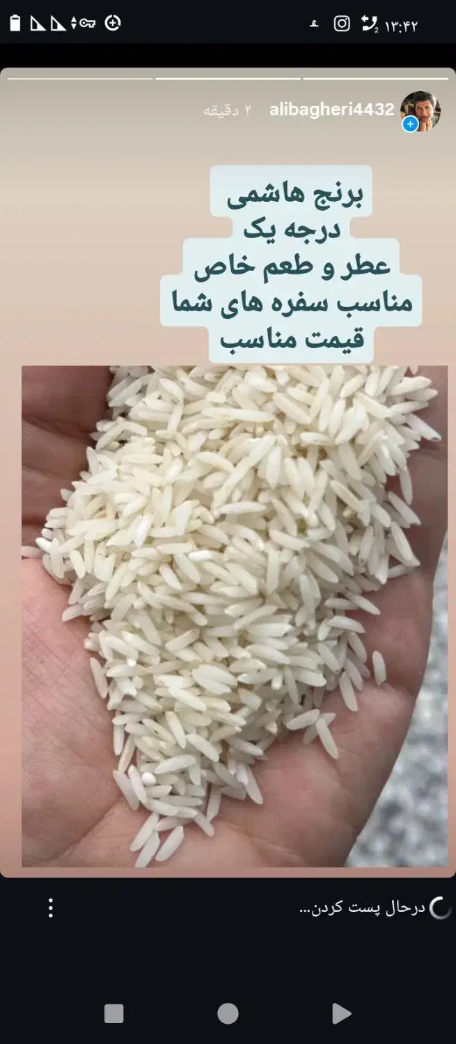 برنج محلی|خوردنی و آشامیدنی|تنکابن, |دیوار