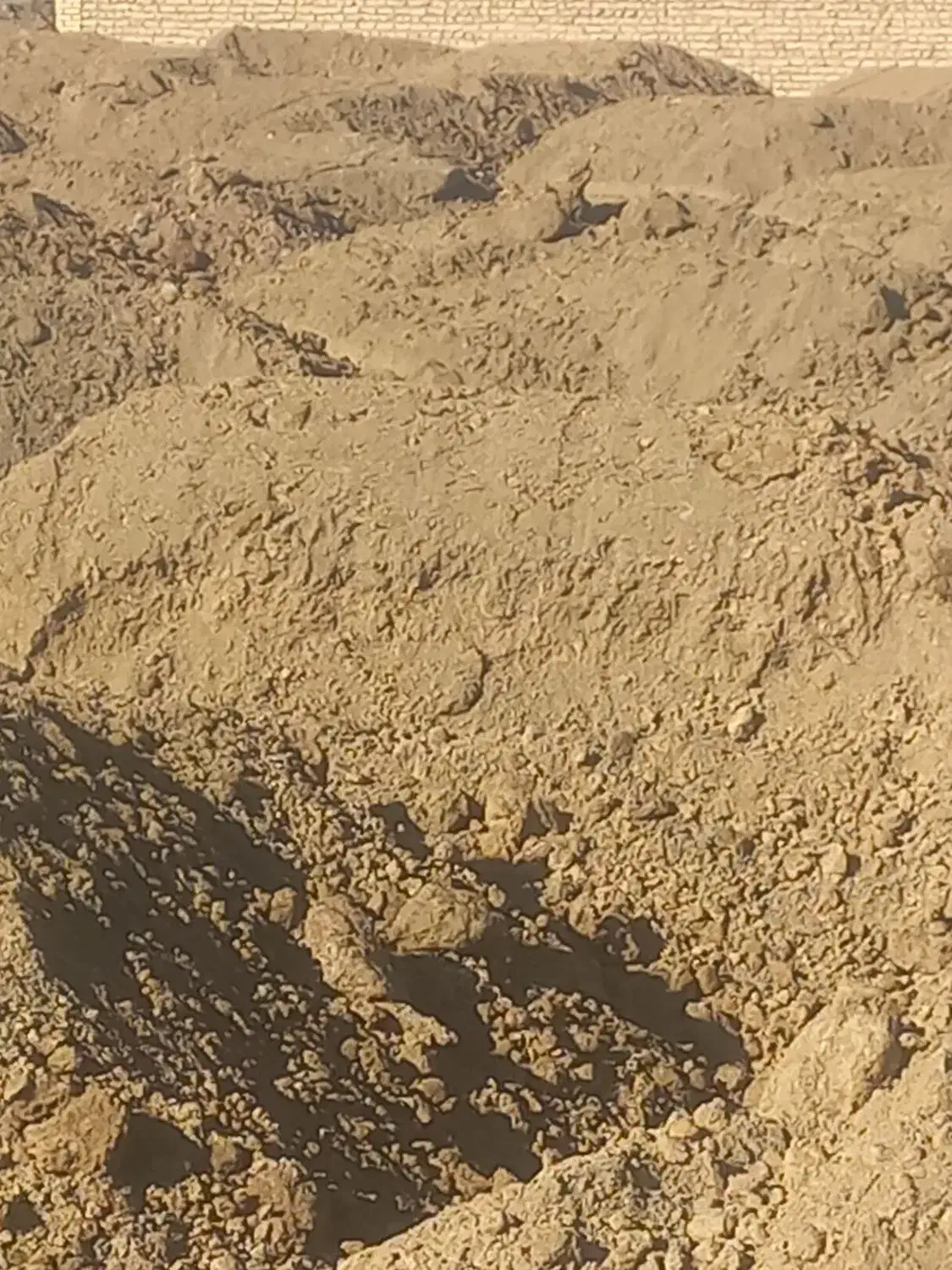 خاک باغچه|خدمات باغبانی و درختکاری|مشهد, کلاته برفی|دیوار