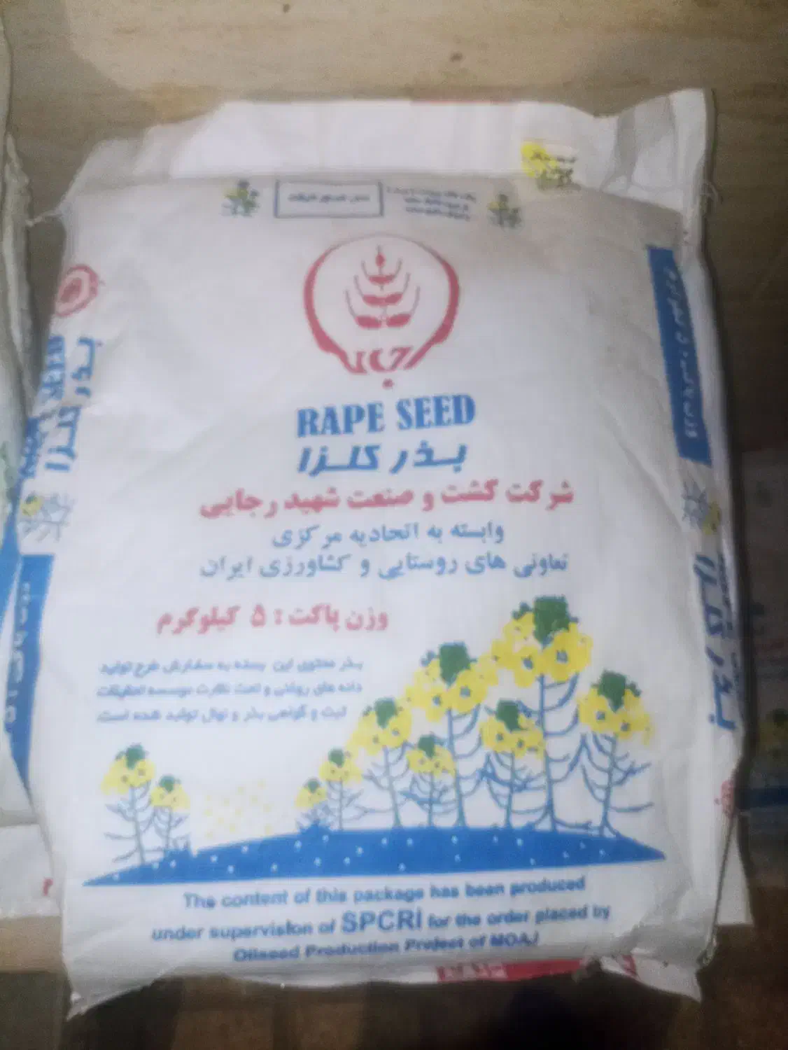 فروش بذر کلزا (رقم دلگان)|خدمات باغبانی و درختکاری|گنبد کاووس, |دیوار