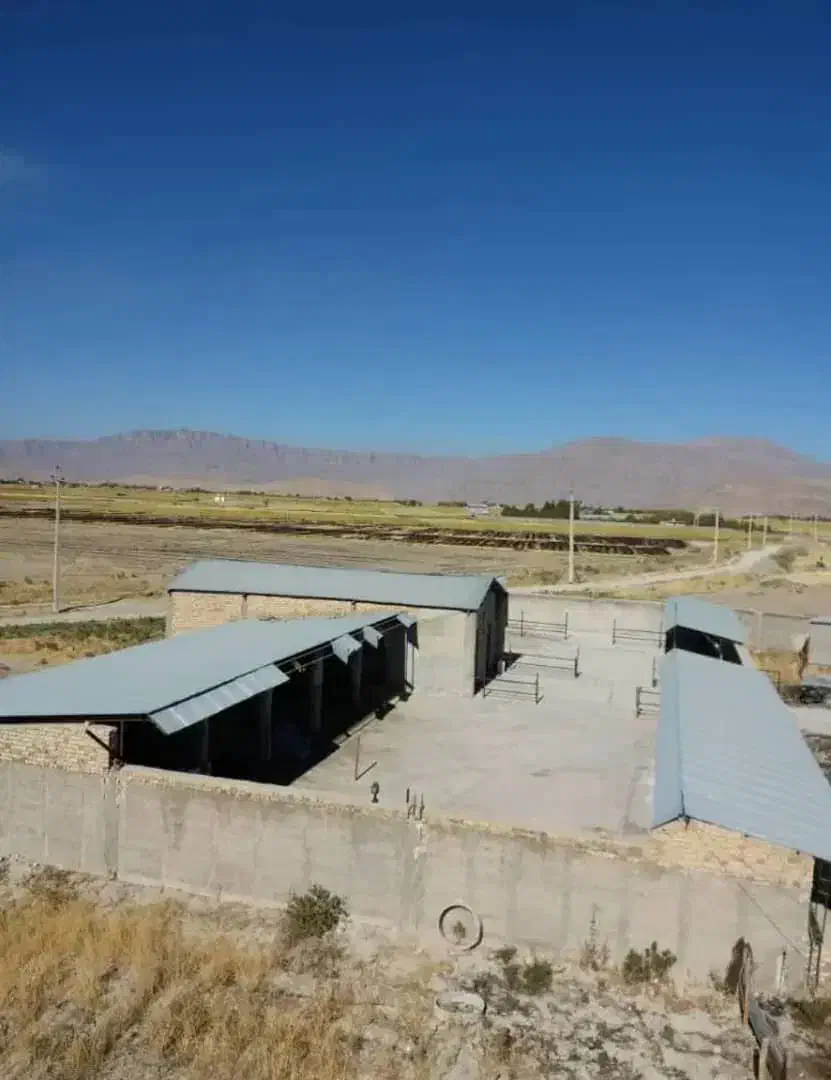 گاوداری|اجارهٔ دفتر صنعتی، کشاورزی، تجاری|بیضا, |دیوار