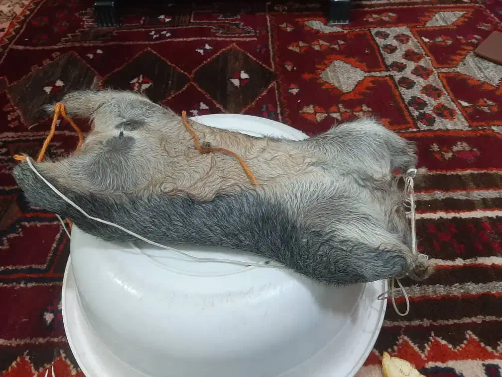 فروش هیزه جاروغن حیوانی|ظروف نگهدارنده، پلاستیکی، یکبارمصرف|اندیمشک, |دیوار