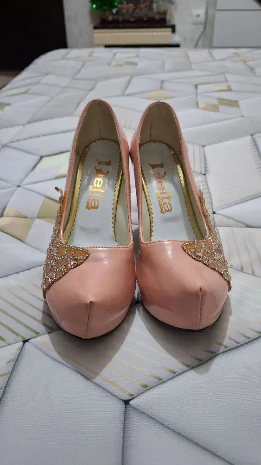 کفش مجلسی|کیف، کفش، کمربند|گنبد کاووس, |دیوار