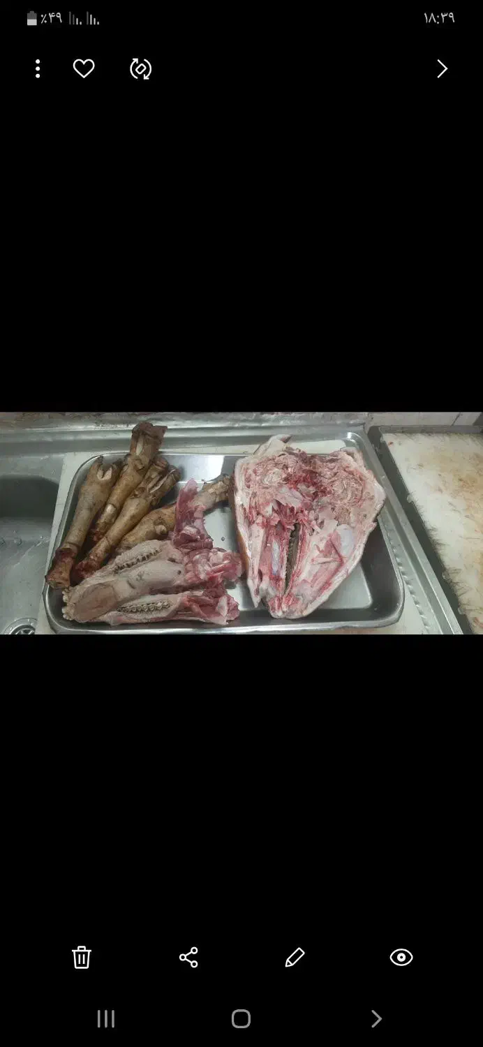 قصاب * گوسفند زنده*سلاخ در محل*کله پاچه پاک میکنیم|خدمات پذیرایی، مراسم|ملایر, |دیوار