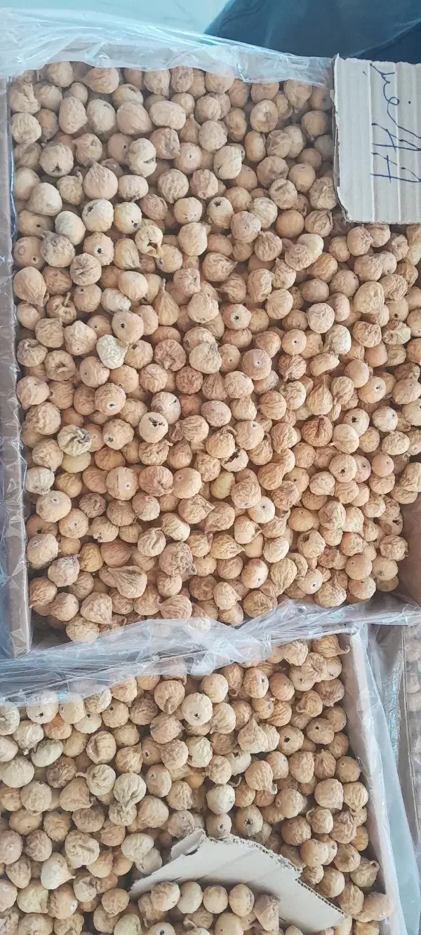 انجیر. شیره انگور.عرقیات.عسل|خوردنی و آشامیدنی|قم, شهرک مهدیه|دیوار