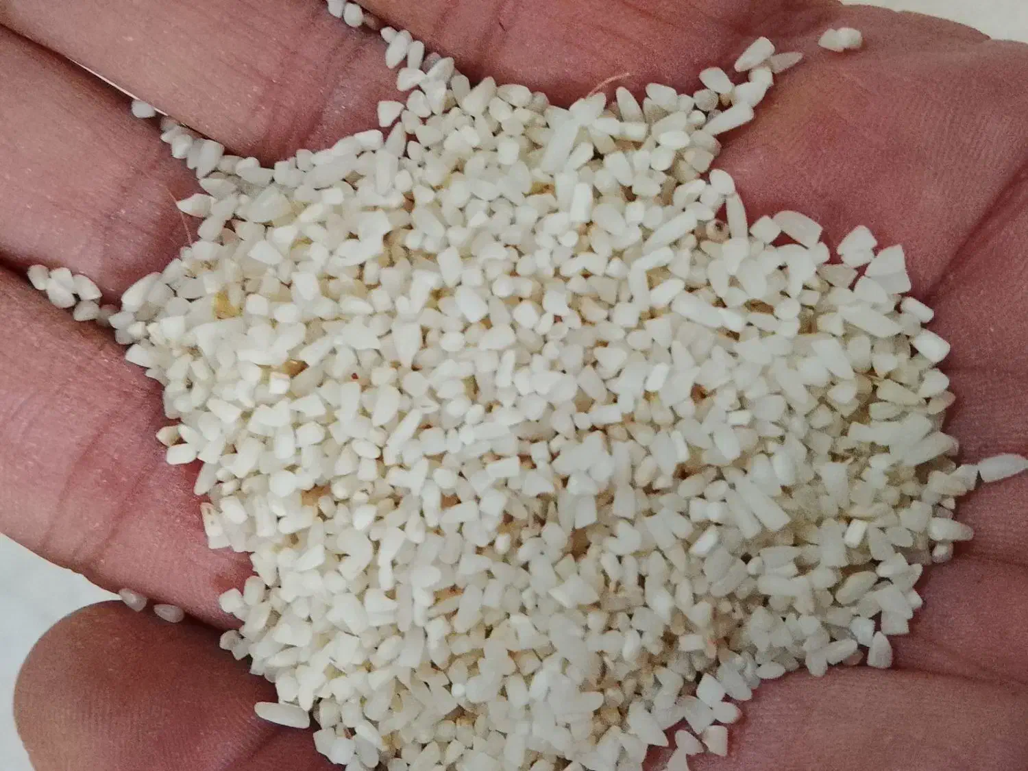 برنج فروشی|خوردنی و آشامیدنی|رضوانشهر, |دیوار