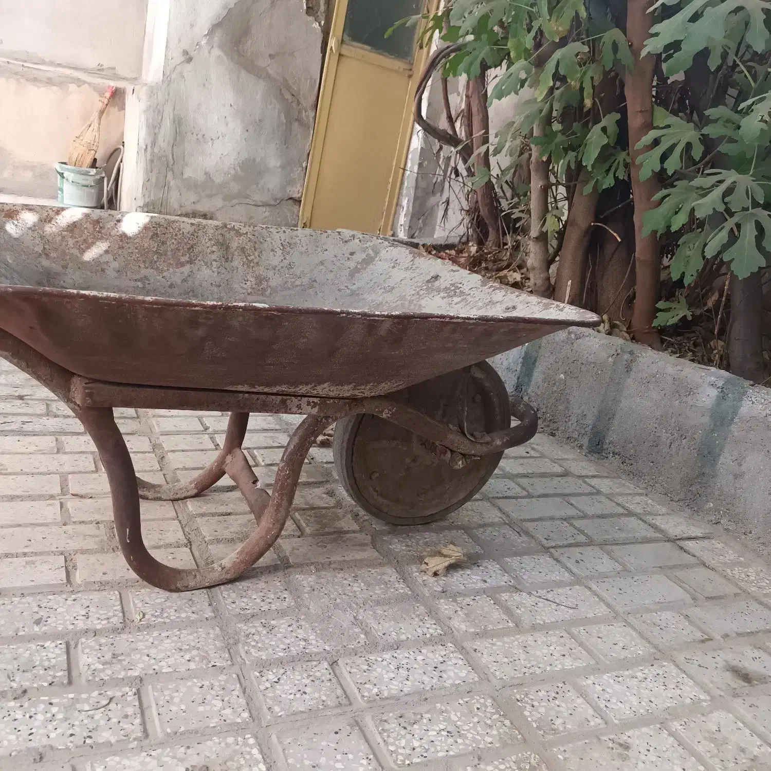 فرغون فرقون|کلکسیون اشیاء عتیقه|مشهد, نوغان|دیوار