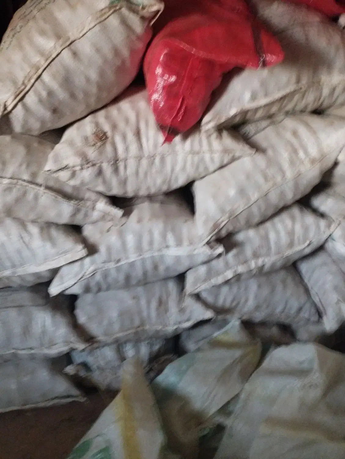 سیبزمینی|عمدهفروشی|سجاس رود, |دیوار