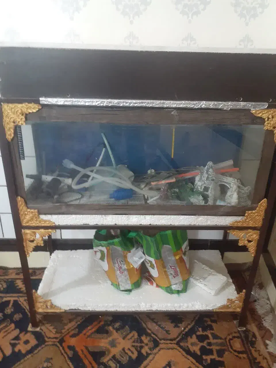 آکواریوم|ماهی|شوشتر, |دیوار