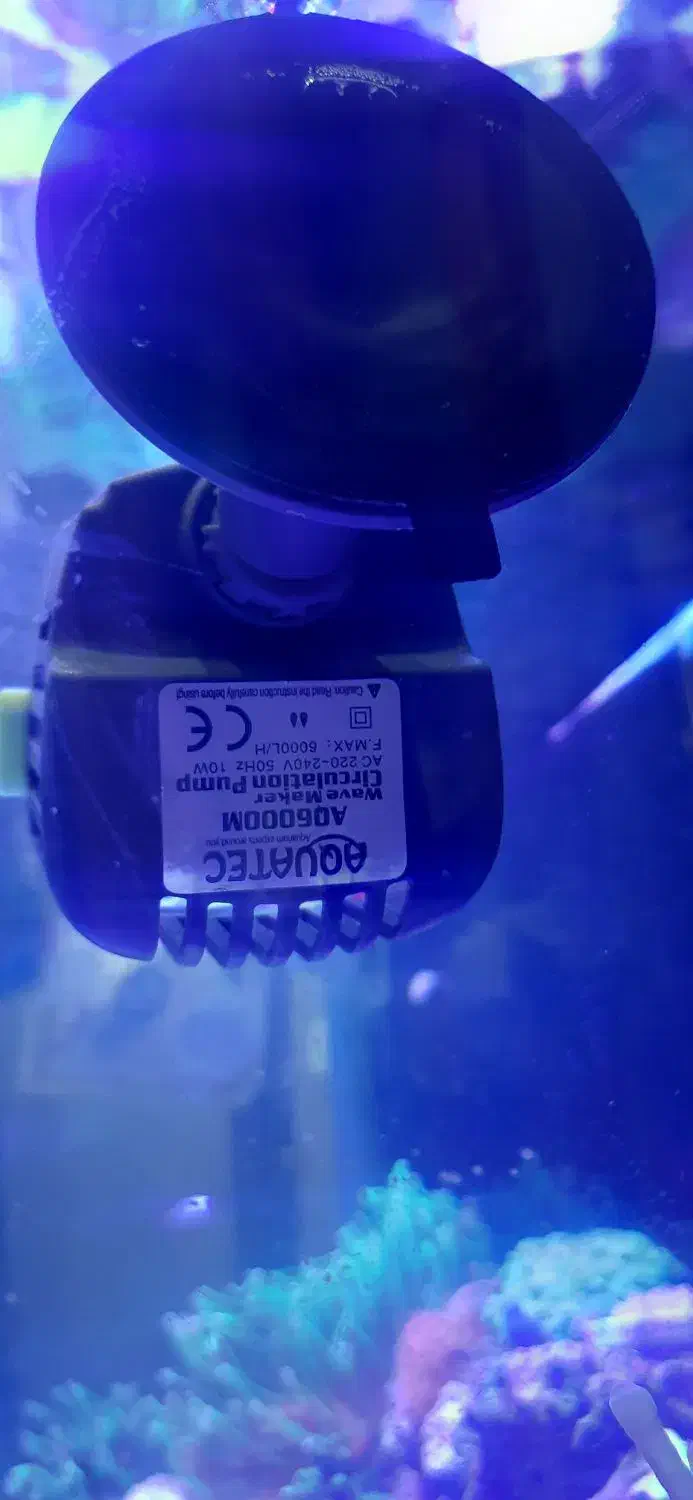 موج ساز|ماهی|بندرعباس, |دیوار