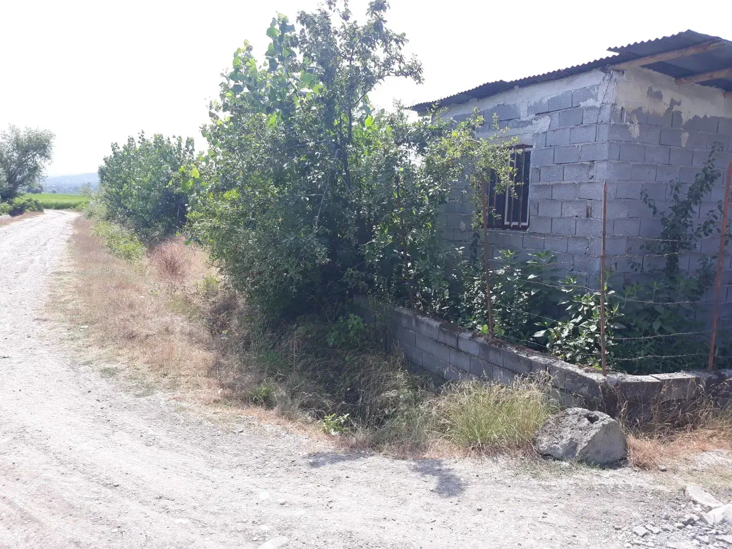 زمین فروشی ، لهرم تلوک مازندران|فروش زمین و ملک کلنگی|ارطه, |دیوار